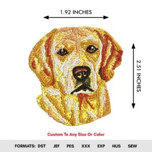 Labrador Retriever