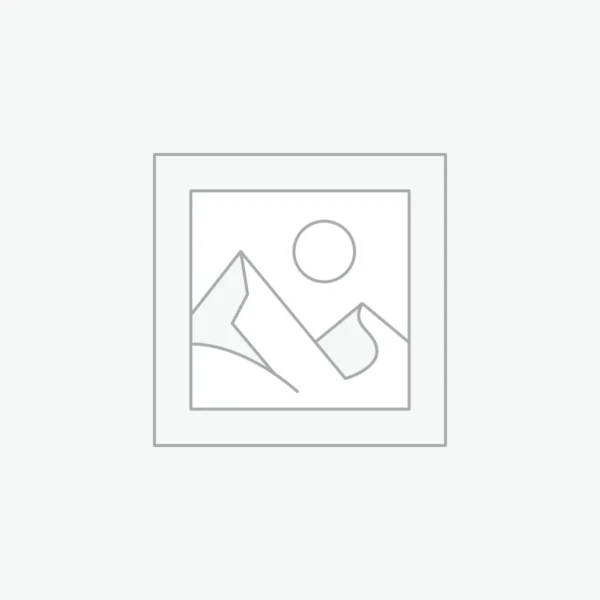 Embroidery Digitizing — Advanced